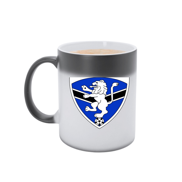 DYFC MAGIC MUG